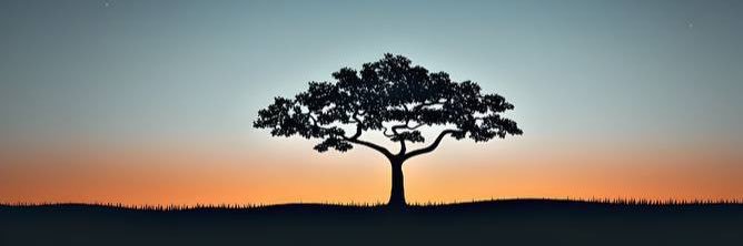 رامي ال منصور banner