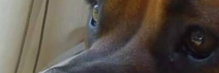 ggw1971's profile banner image