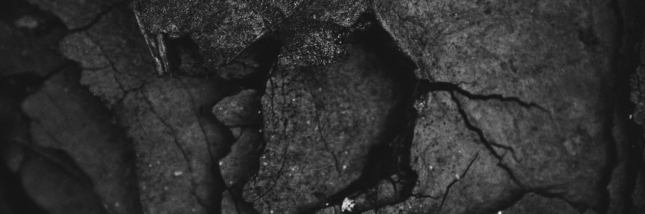 lukemanimala's profile banner image