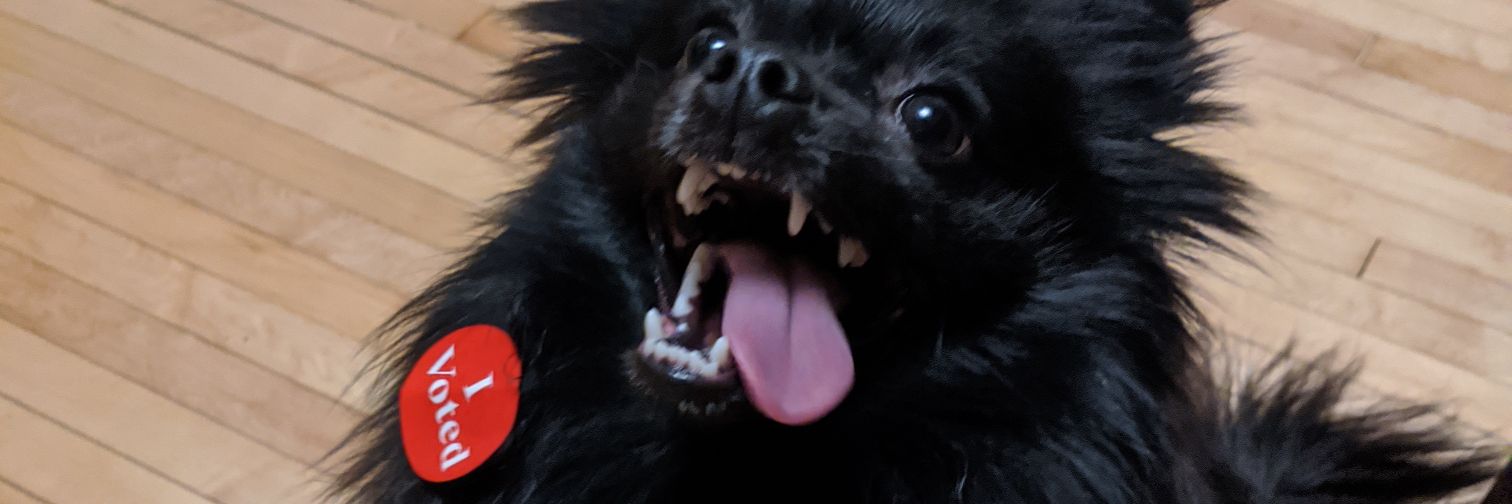 Nickyapolis's profile banner image