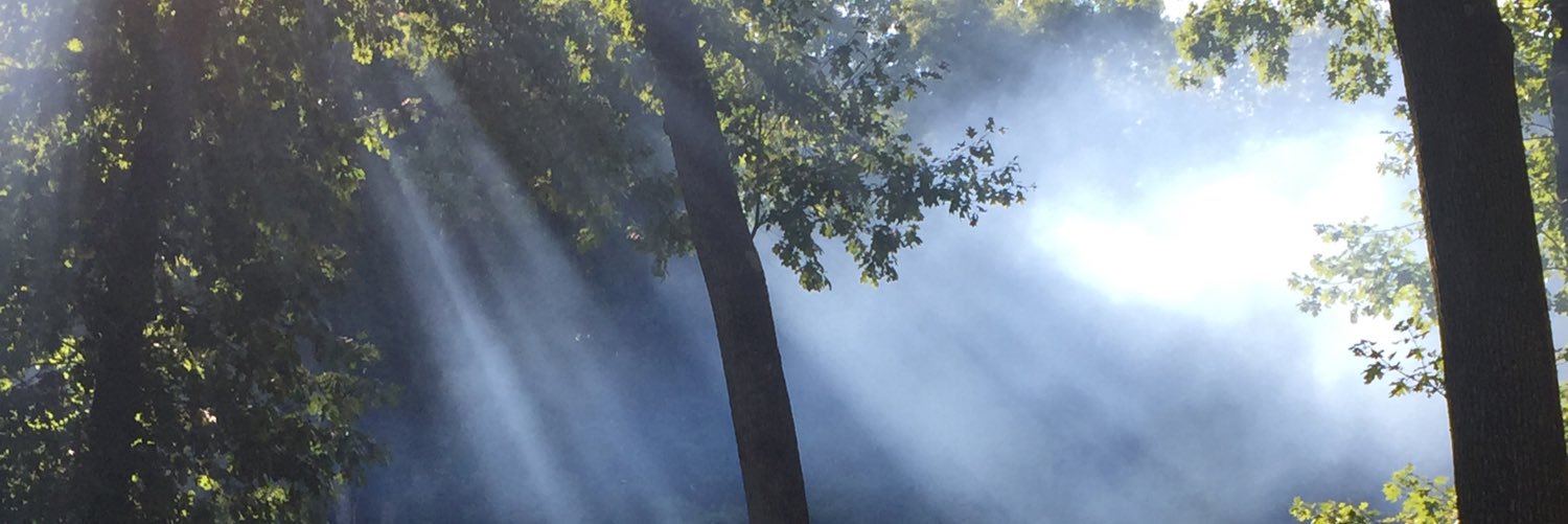 brizahn's profile banner image