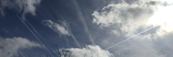 mssarahbarrow Profile Banner