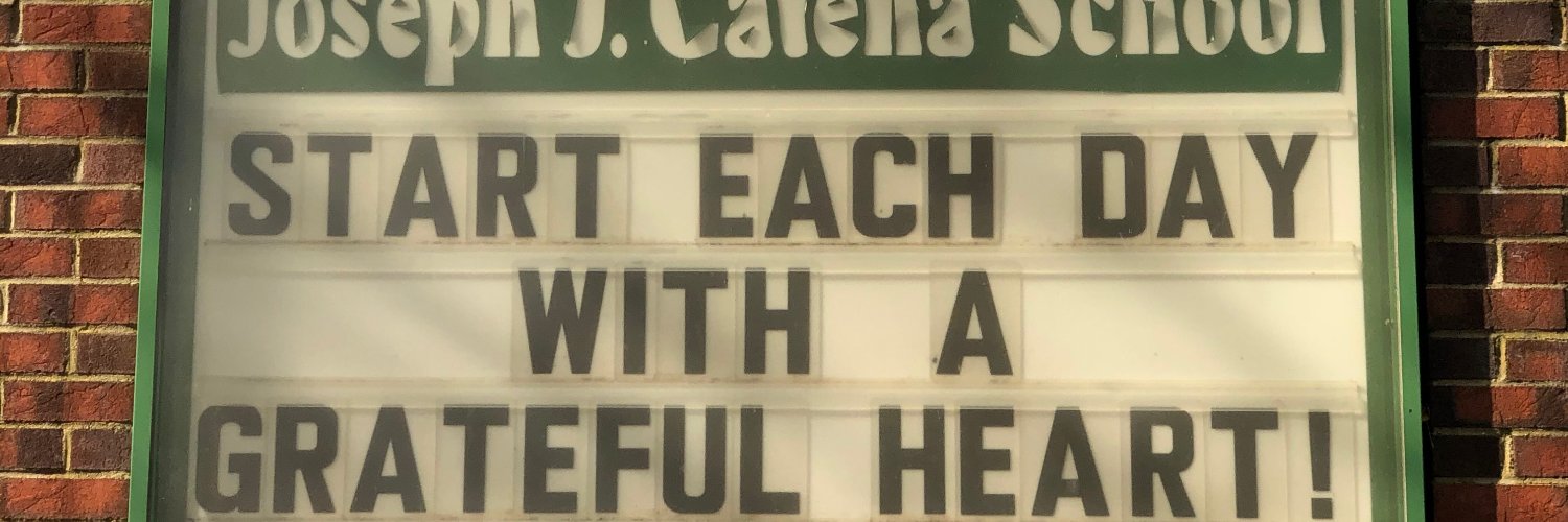 Traci Attardi Shaw banner