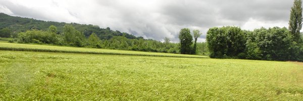 AmyMullee Profile Banner