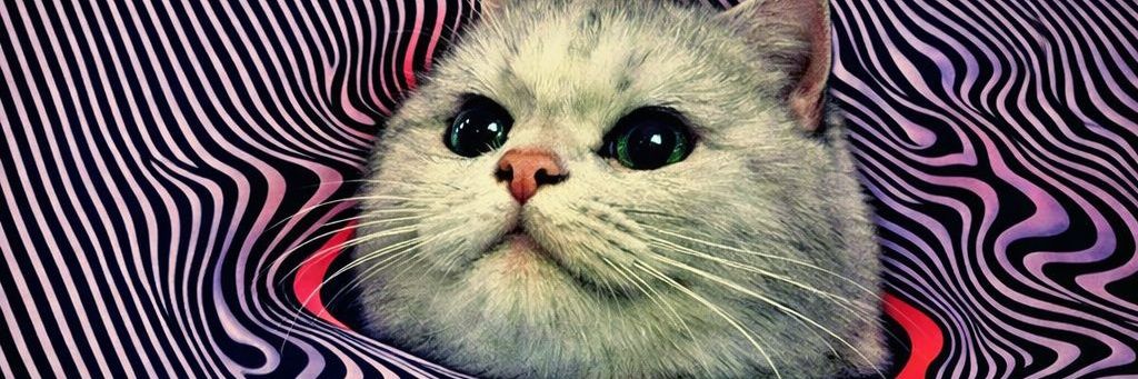 Qypiwpiw's profile banner image