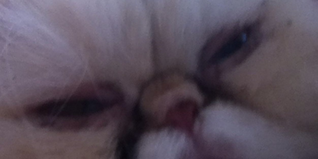 carper_mallory's profile banner image