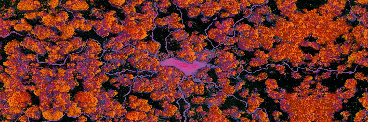 Dirty Sound Magnet banner