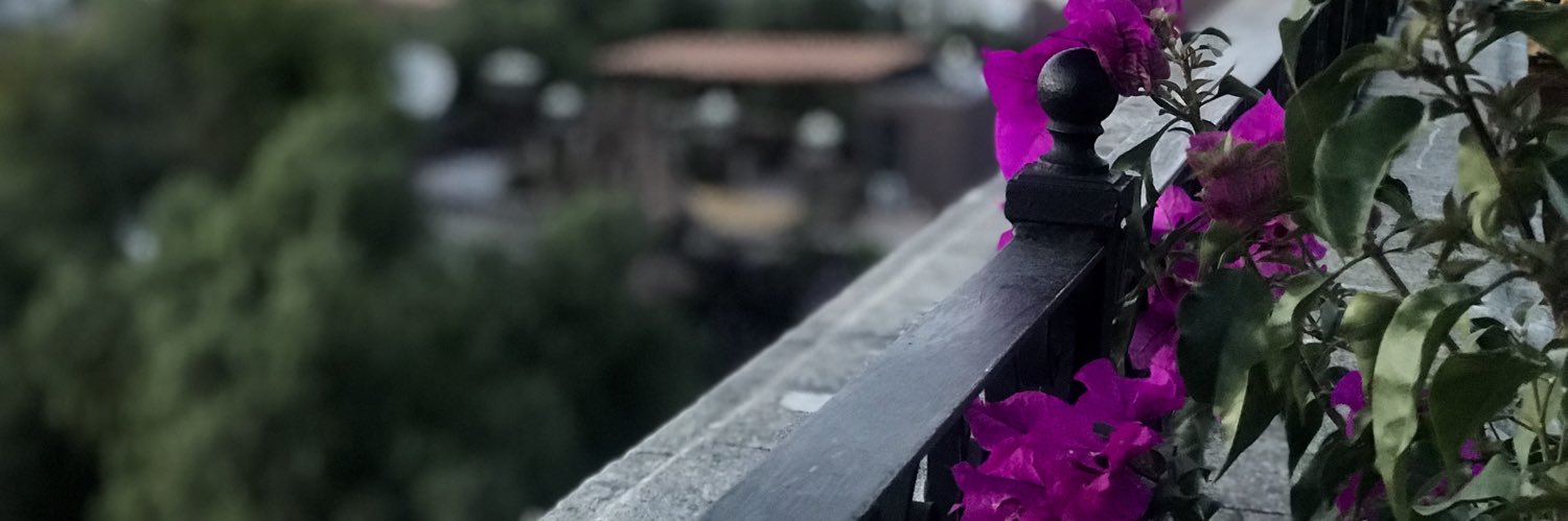 CeciTelloL's profile banner image