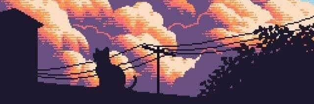 Johnson.SAVAGE banner