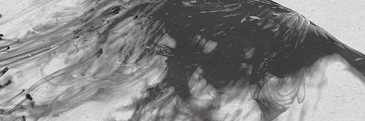 roman__10__'s profile banner image