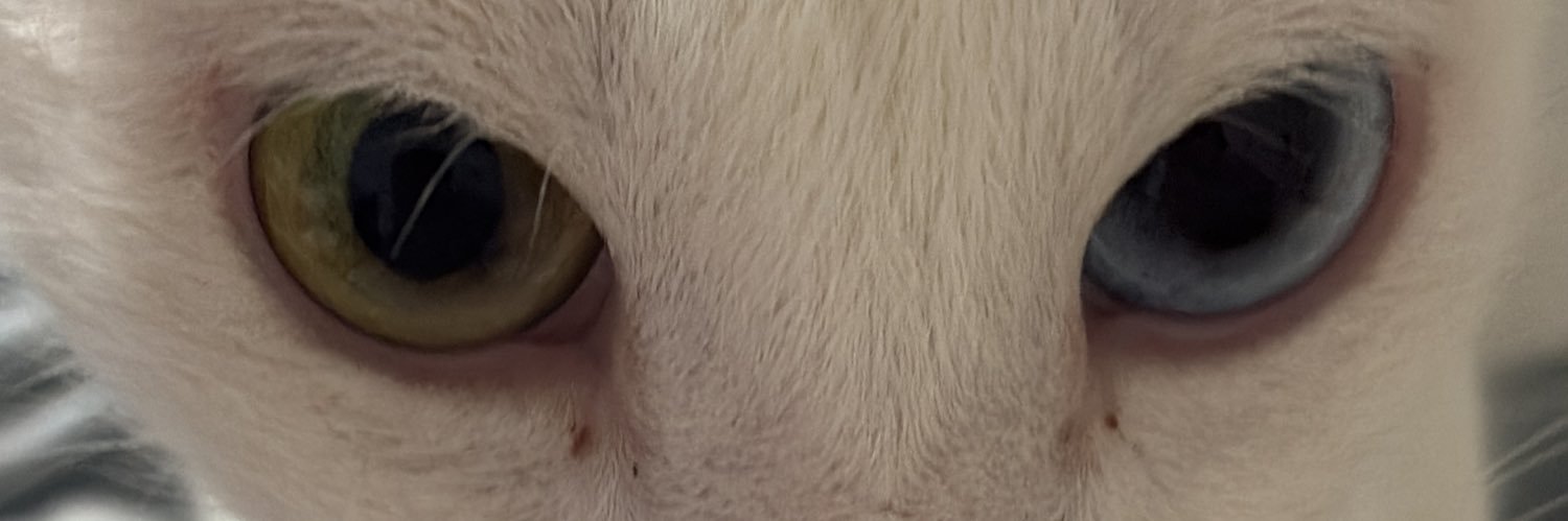 bmarinaaa's profile banner image