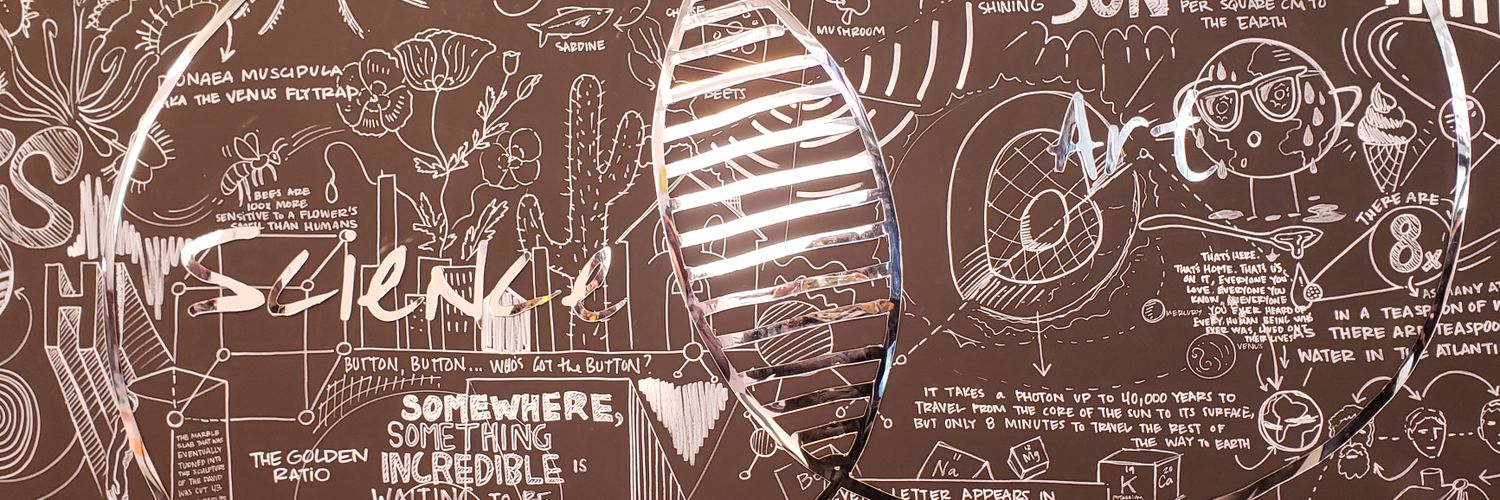 Liza Henry McDonald banner