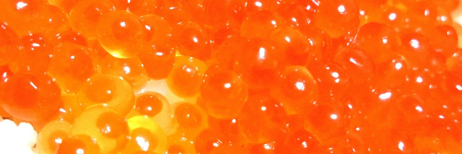 oosaki__'s profile banner image