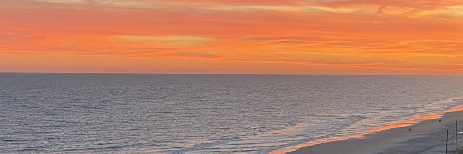 MsErinPhillips's profile banner image