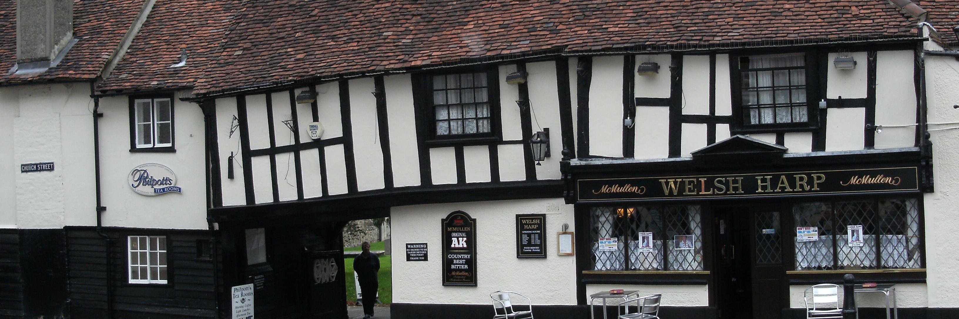 Pamela ALCARIA♦️💖🐾 banner