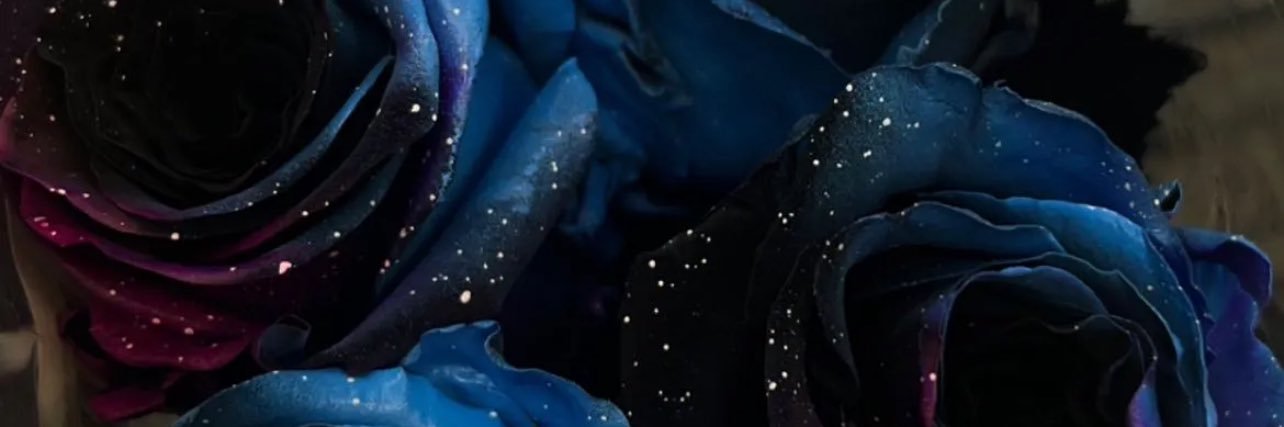 deeejawn's profile banner image
