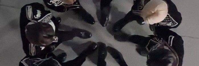 CheeseDippu's profile banner image