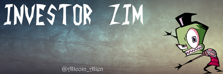 Investor Zim ⚓ banner