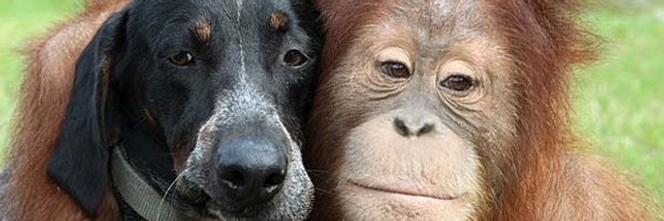 Consumewithcare Profile Banner