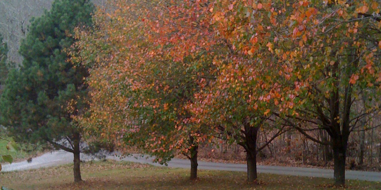 Dr. Rachel Baker banner