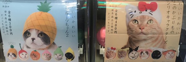 luisa_zintgraf Profile Banner