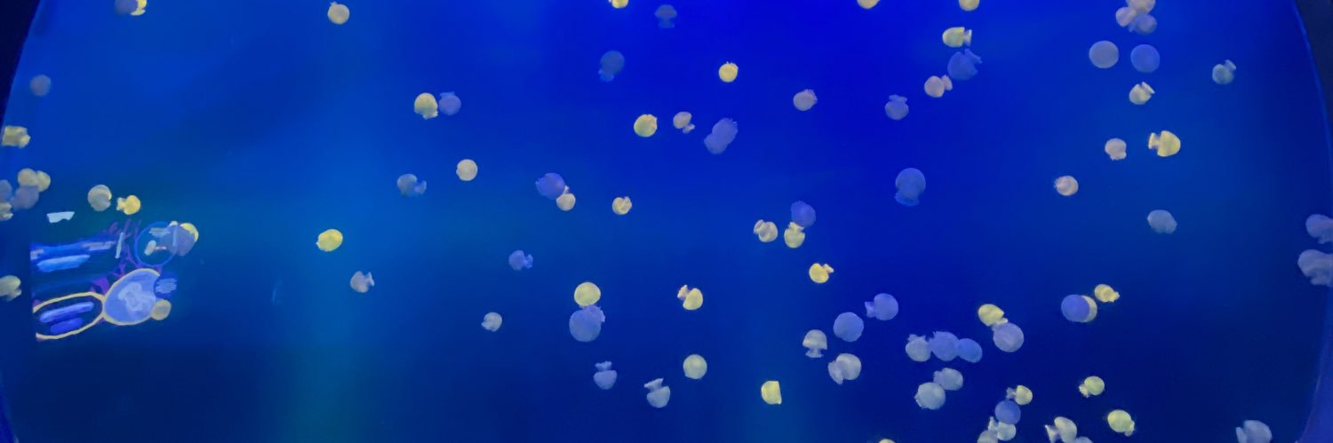 ein4rcrb's profile banner image