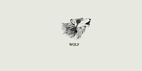 Eun_cheiwael's profile banner image