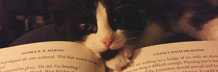 Kezz. banner