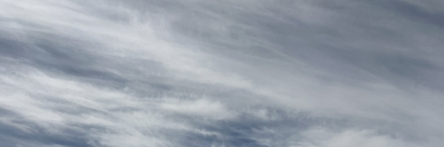 CharLessFrankel's profile banner image