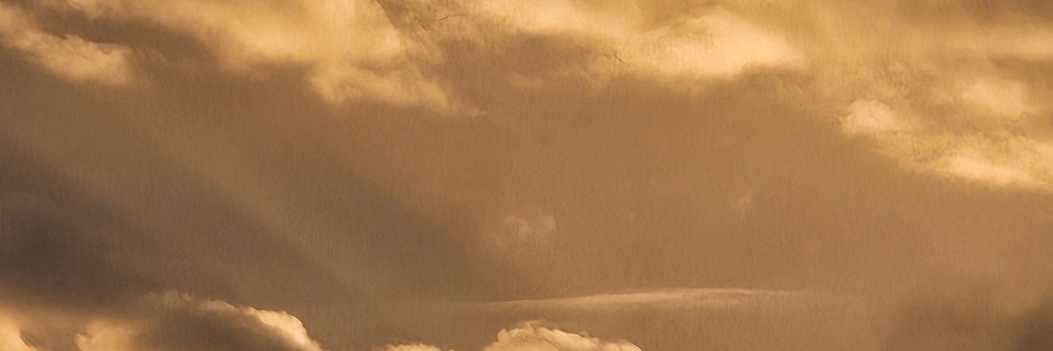 lycheebats's profile banner image