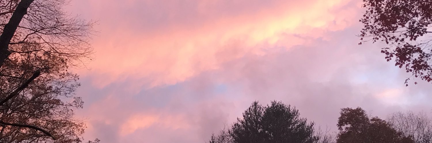 EAcapling's profile banner image