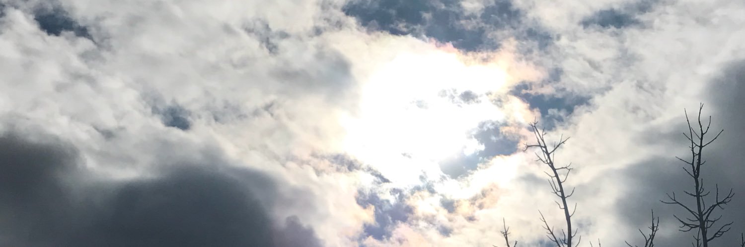 CodyPollard17's profile banner image