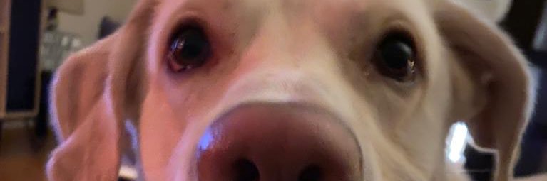 _CaaLa_'s profile banner image