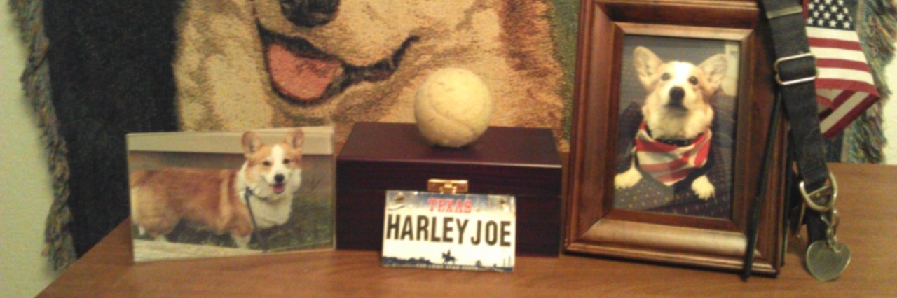 joe landeros banner