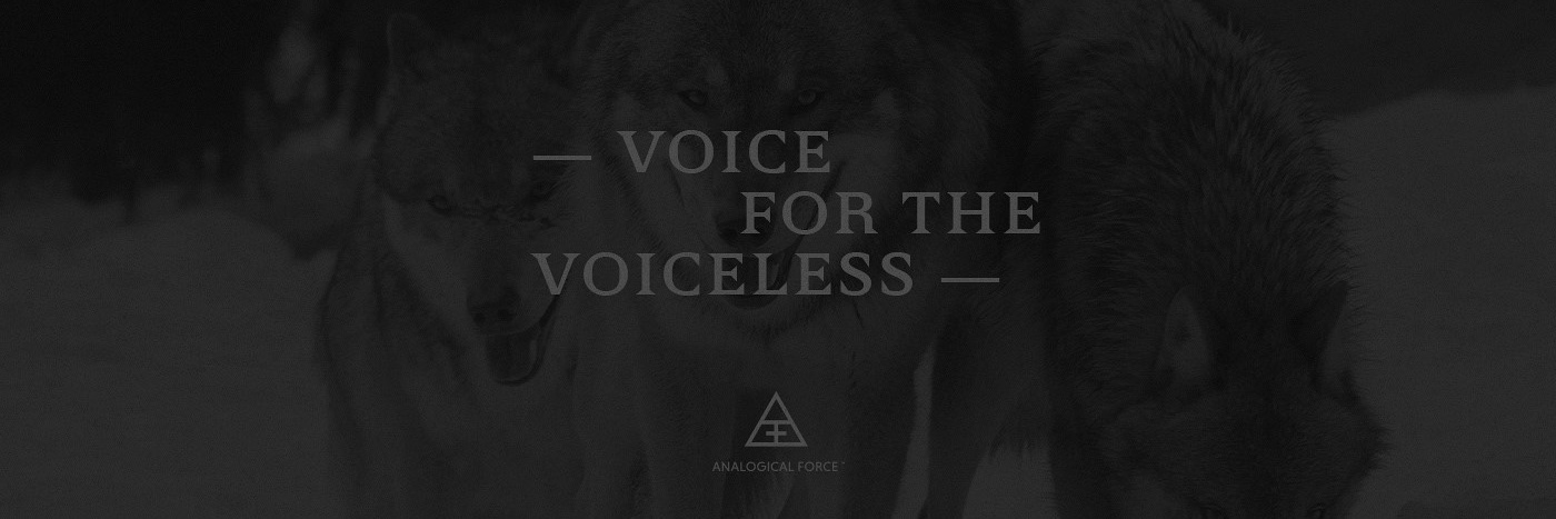 AnalogicalForce banner