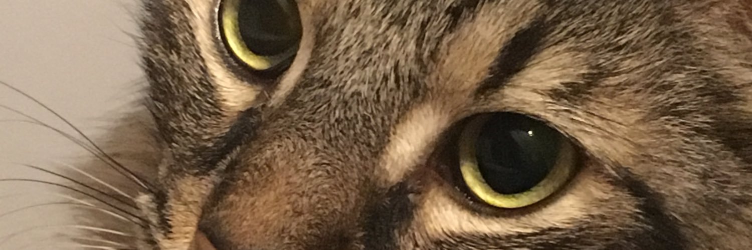 denizepsa's profile banner image