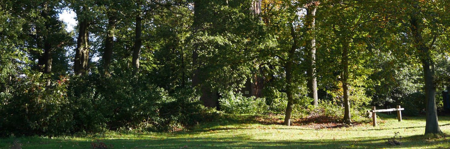 Ted van de Loo banner