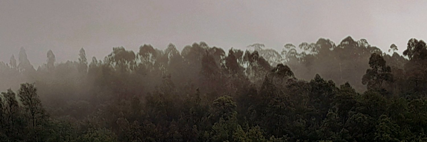 nelafilipa's profile banner image