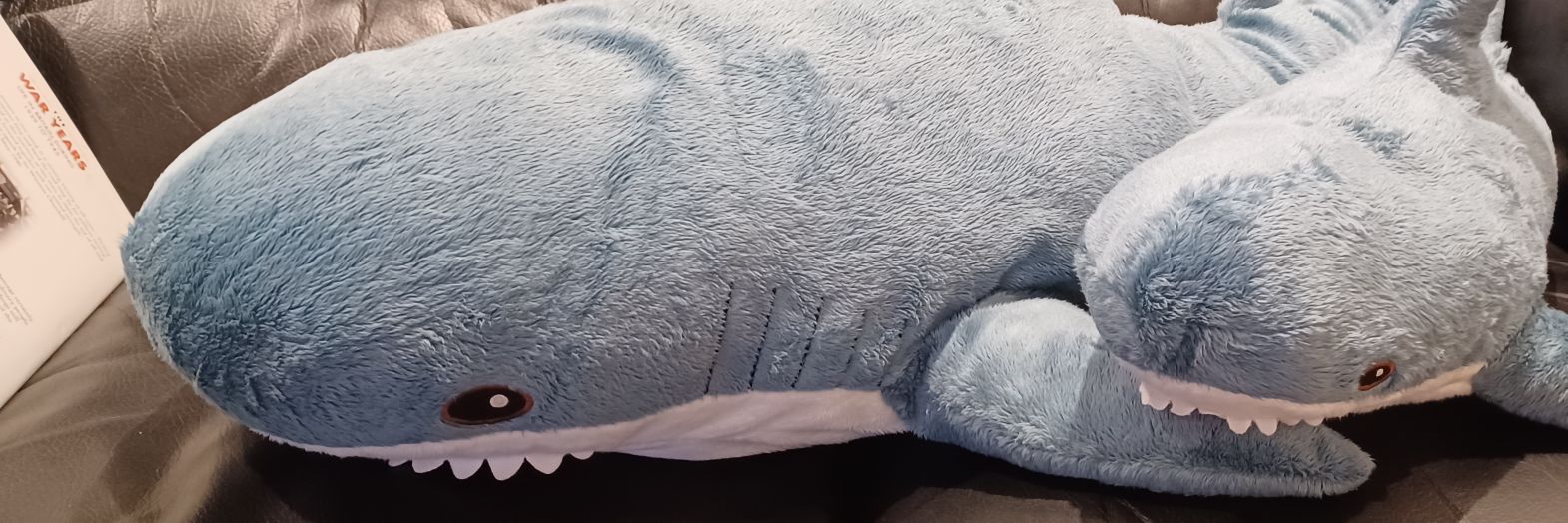 GeodesicDragon's profile banner image