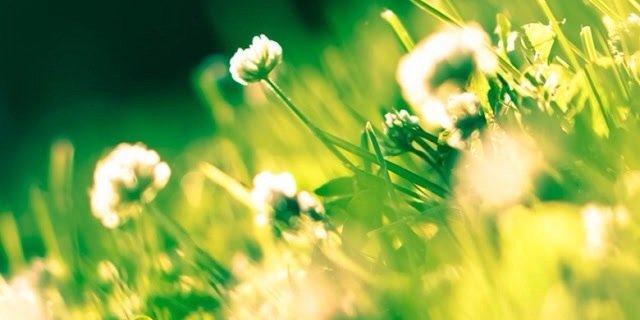 maggie_mayJune's profile banner image