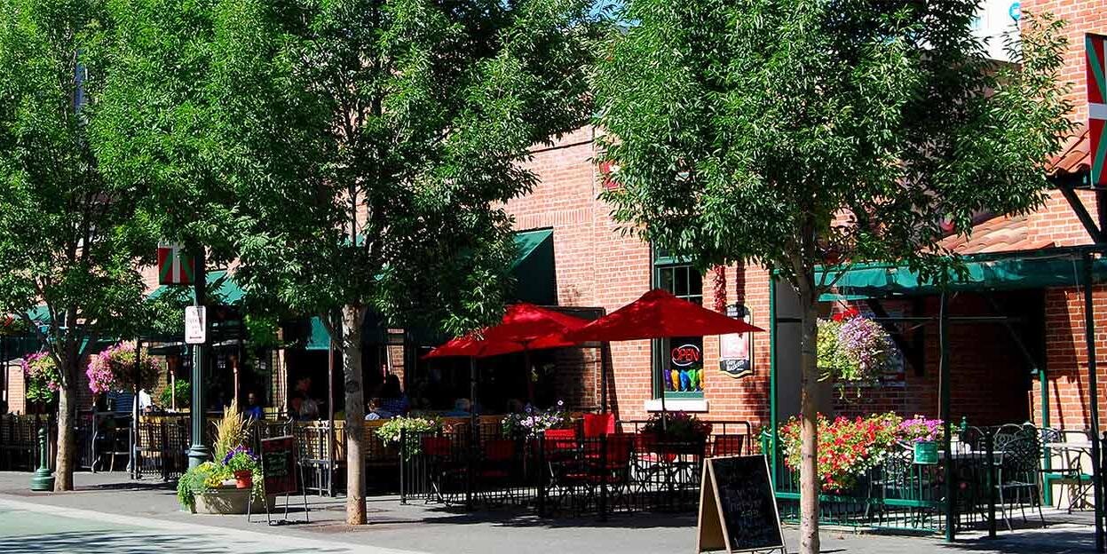 The Basque Block banner
