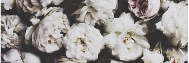 _elisegriggs's profile banner image