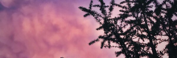 JCalgary777's profile banner image
