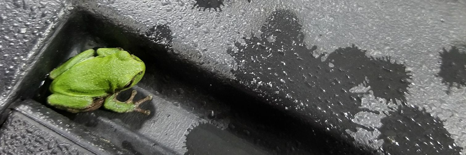 nathanlvogt's profile banner image