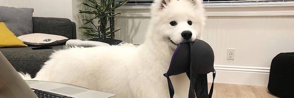 kk banner