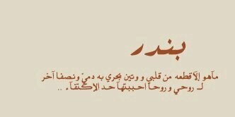 ShahdQ1412's profile banner image