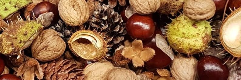 NutzerBenutzer banner