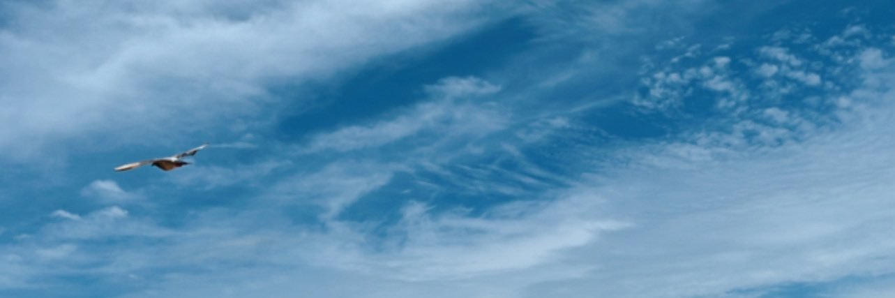 nninafarid's profile banner image