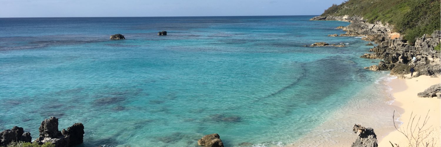 Jeanette Patterson banner