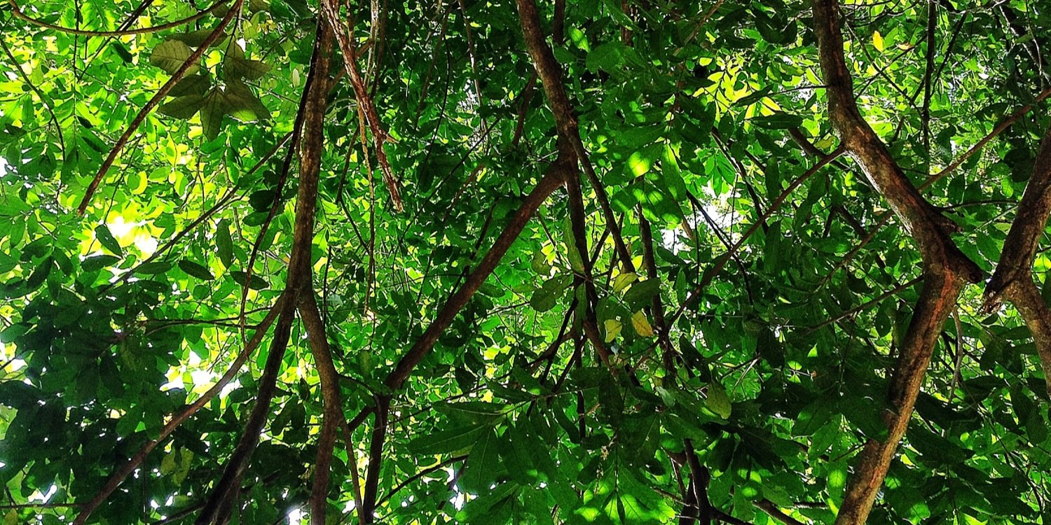 Raul Valenzuela banner